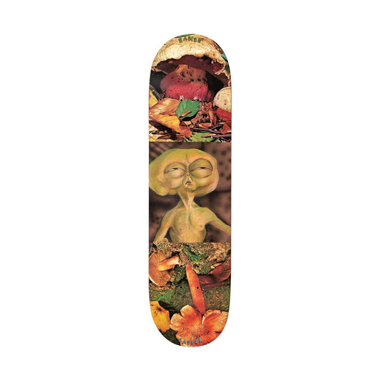 Baker Skateboards Block Busters Casper Brooker 8.25"