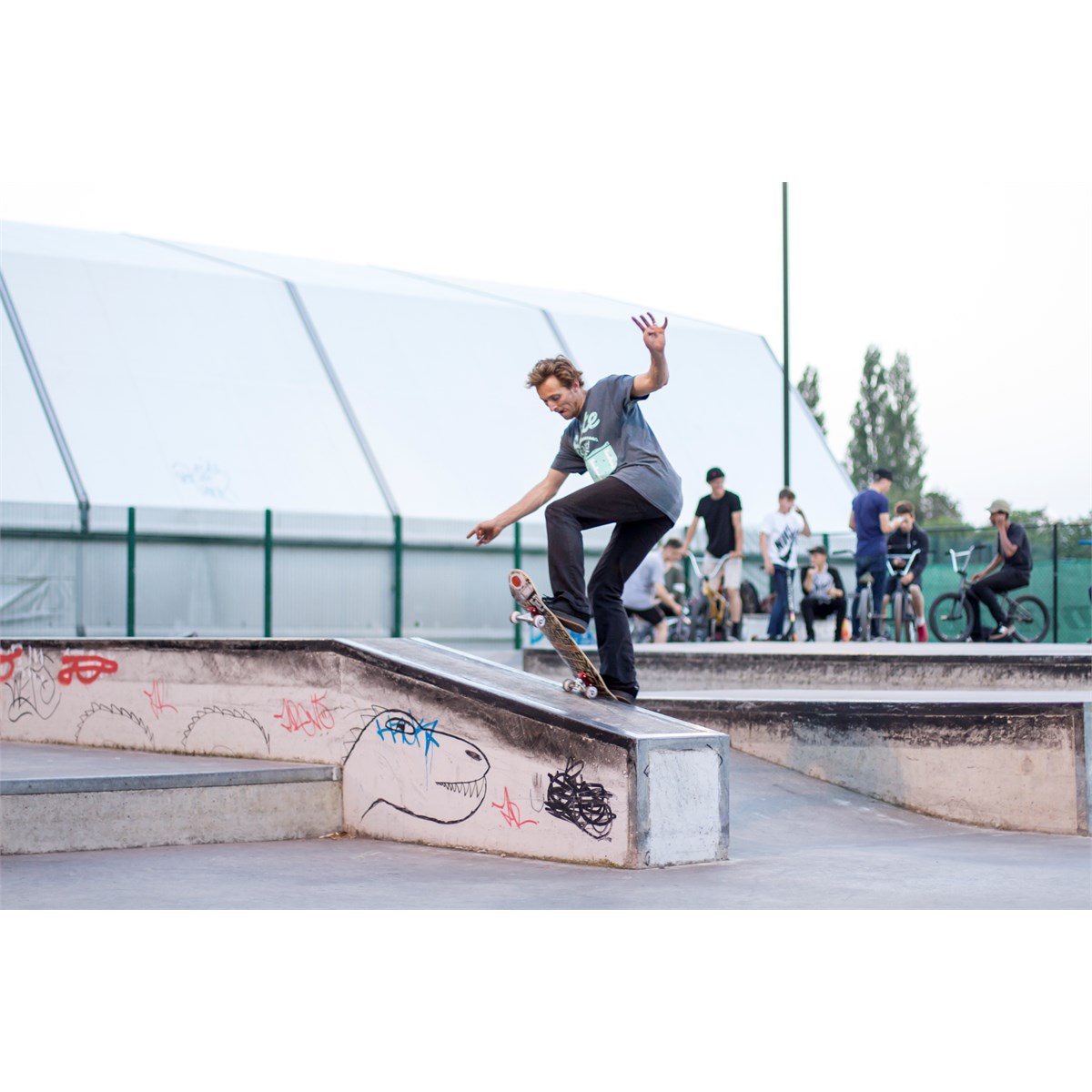 Enuff Skateboards | Enuff Decade Pro Satin Trucks